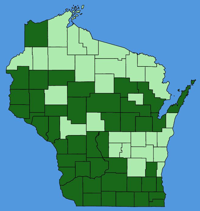 map-wis-Persicaria-virginiana.JPG