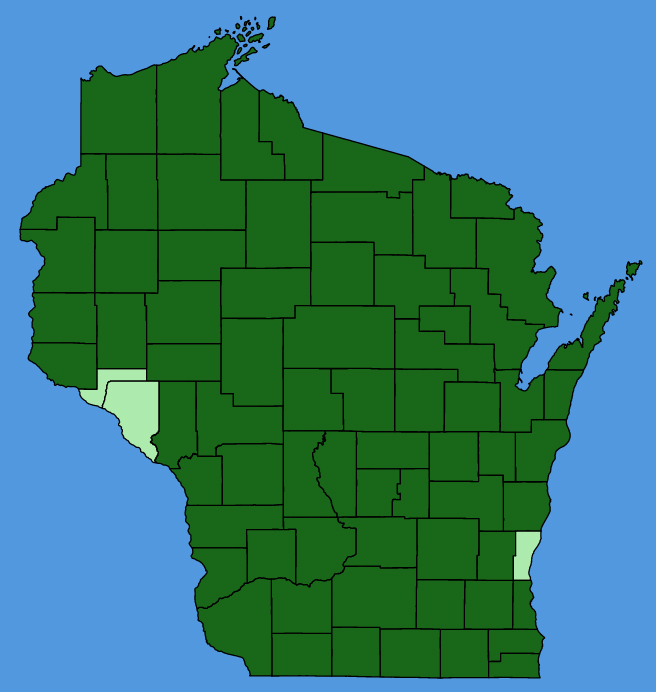 map-wis-Phleum-pratense.JPG