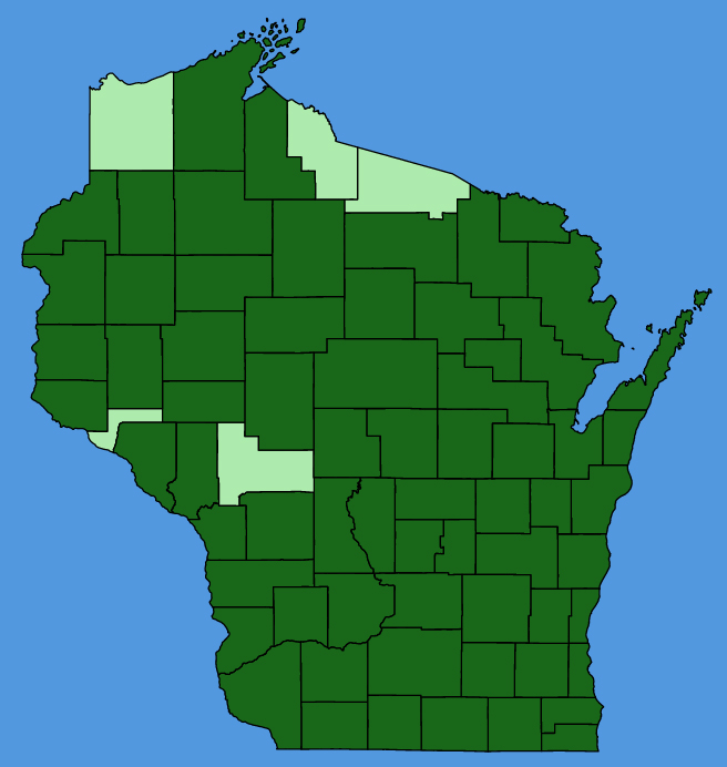 map-wis-Phryma-leptostachya.JPG