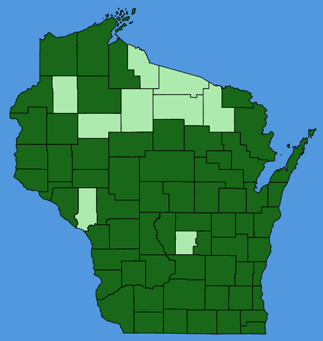 map-wis-Physostegia-virginiana.JPG
