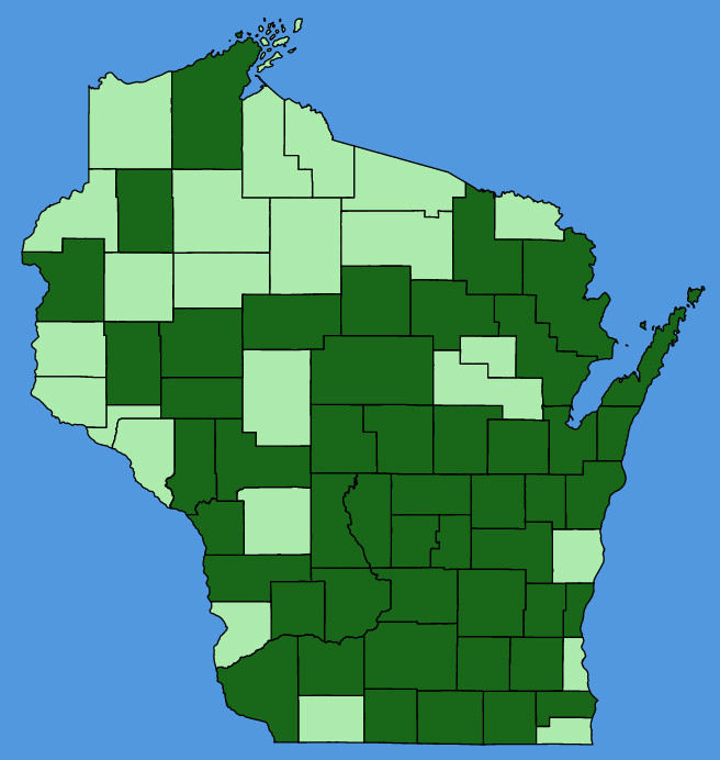 map-wis-Pilea-fontana.JPG
