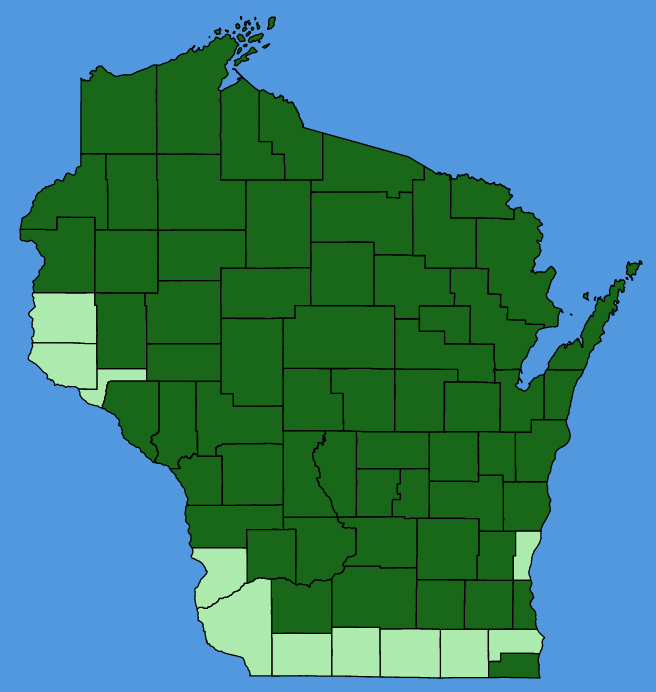 map-wis-Pilosella-aurantiaca.JPG