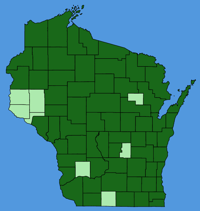 map-wis-Plantago-major.JPG