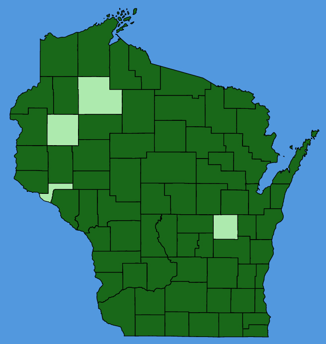 map-wis-Plantago-rugelii.JPG