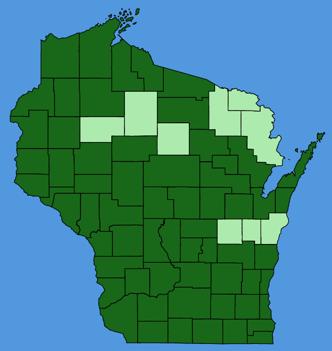 map-wis-Polygonatum-biflorum.JPG