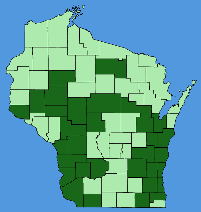 map-wis-Polymnia-canadensis.JPG
