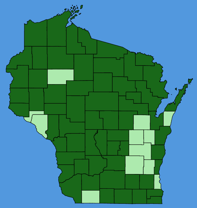 map-wis-Potentilla-argentea.JPG