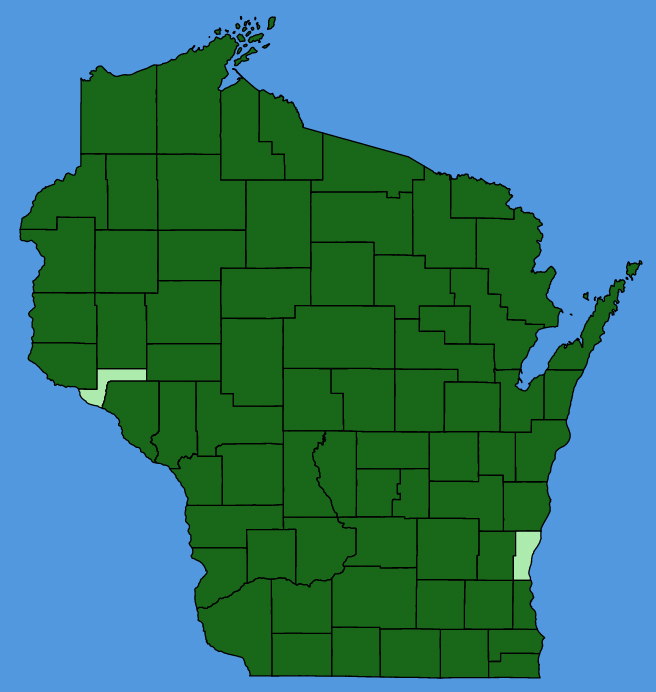 map-wis-Potentilla-norvegica.JPG