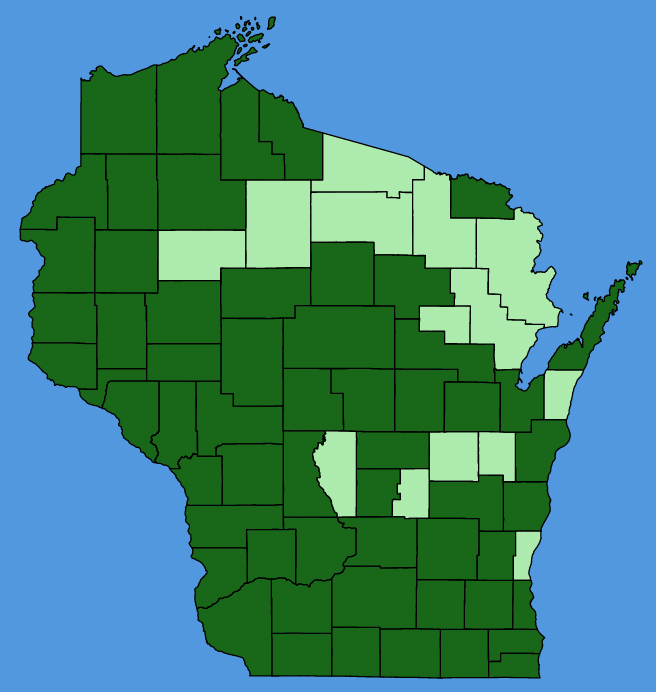map-wis-Prunus-americana.JPG
