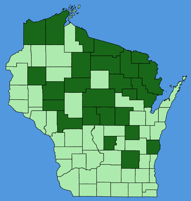 map-wis-Psammophiliella-muralis.JPG
