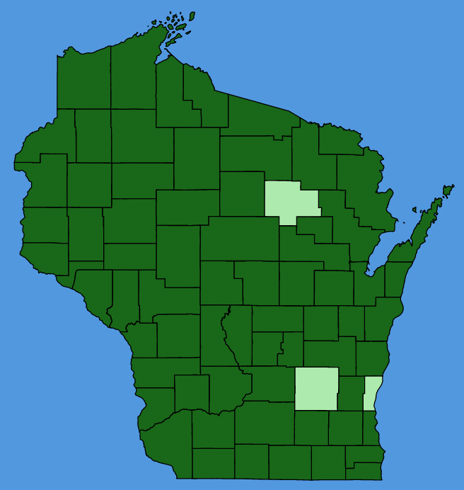 map-wis-Pseudognaphalium-obtusifolium.JPG