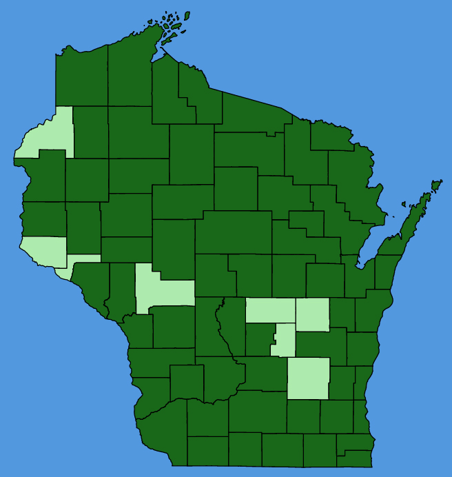 map-wis-Ranunculus-recurvatus.JPG