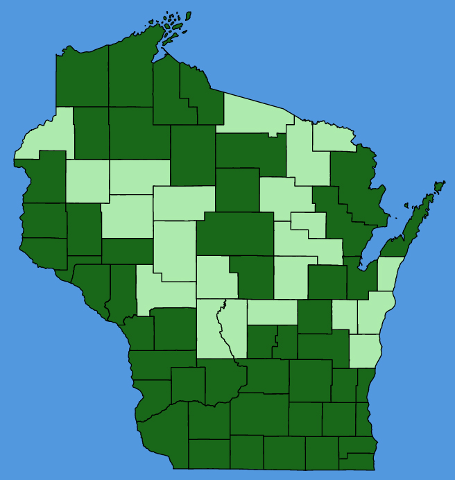 map-wis-Ratibida-pinnata.JPG