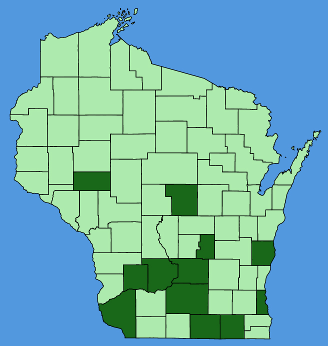 map-wis-Rhus-aromatica.JPG