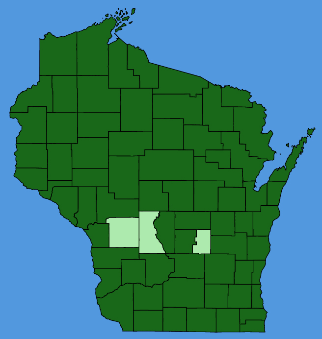 map-wis-Rhus-typhina.JPG