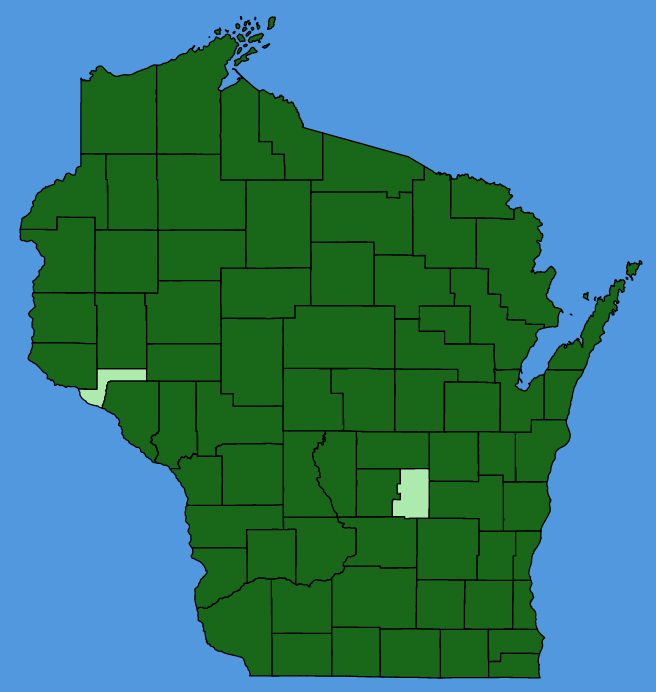 map-wis-Ribes-americanum.JPG
