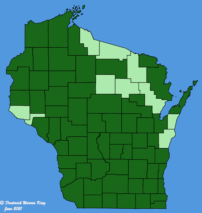 map-wis-Rosa-carolina.JPG