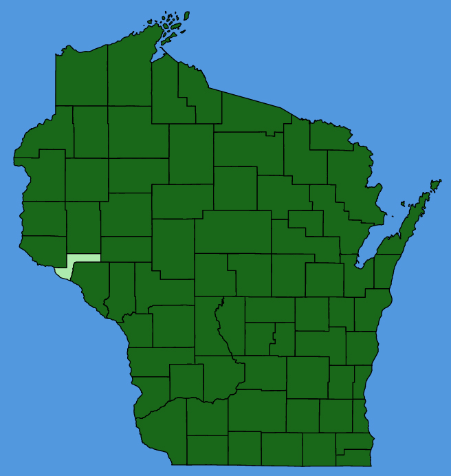 map-wis-Rubus-allegheniensis.JPG