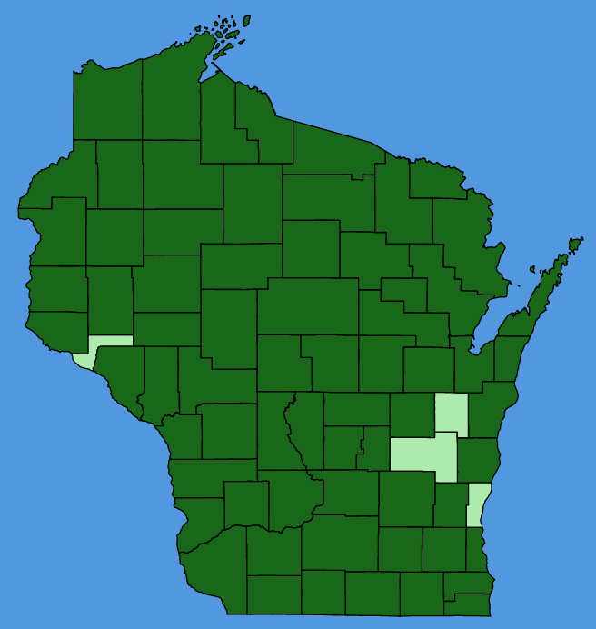 map-wis-Rumex-acetosella.JPG