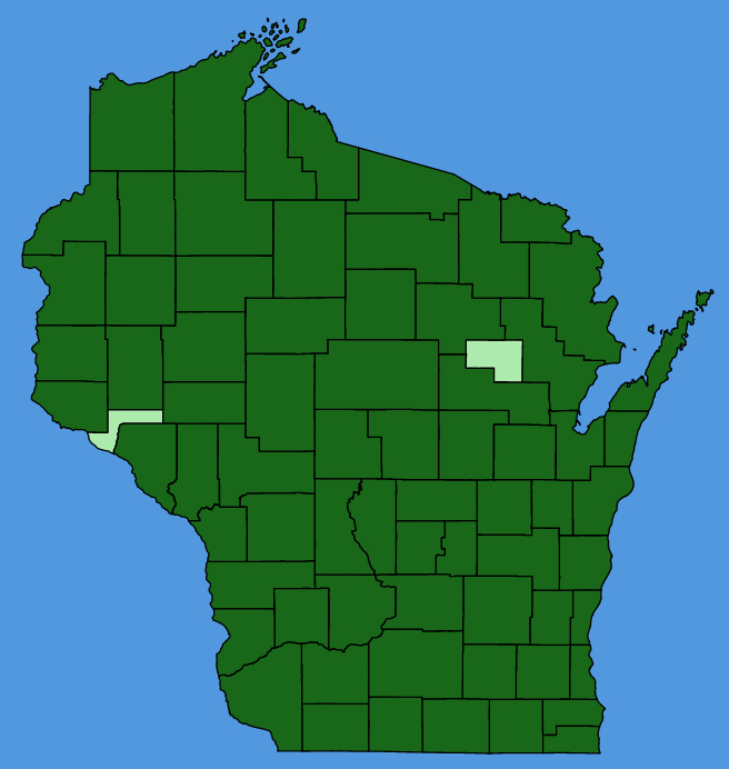 map-wis-Rumex-crispus.JPG