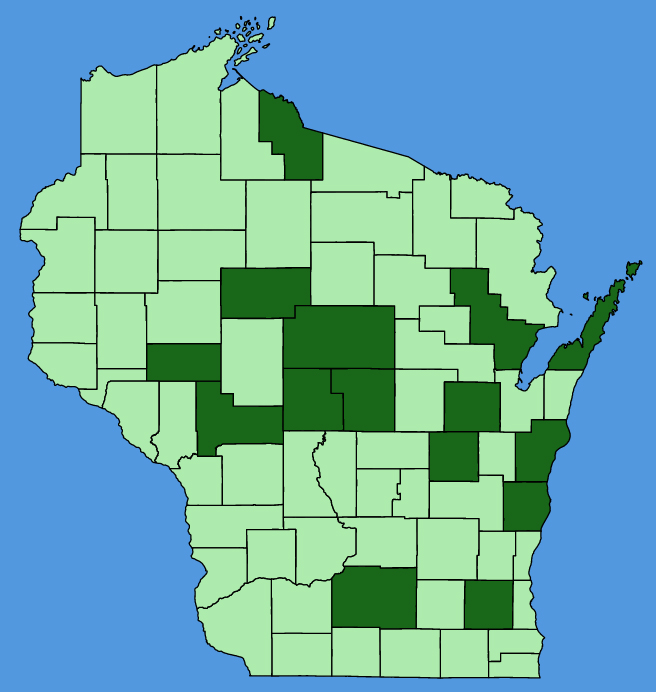 map-wis-Sagina-procumbens.JPG