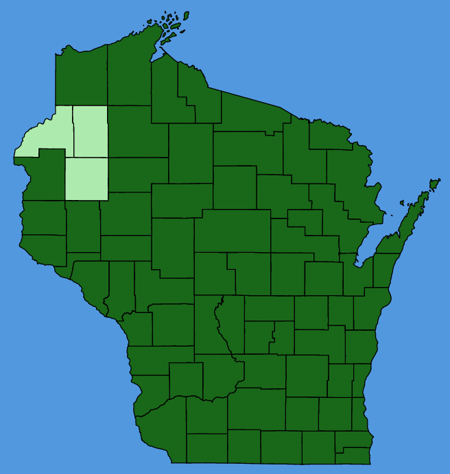 map-wis-Sambucus-canadensis.JPG