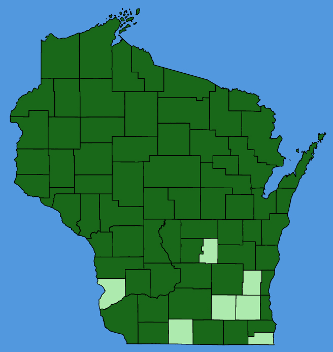 map-wis-Sambucus-racemosa.JPG