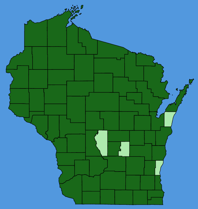 map-wis-Scrophularia-lanceolata.JPG