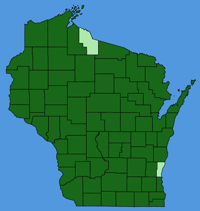 map-wis-Setaria-pumila.JPG