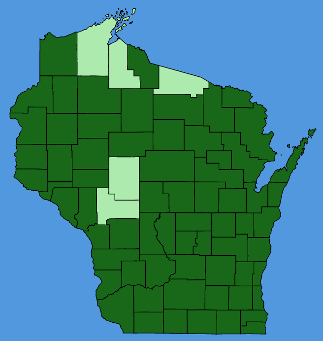 map-wis-Setaria-viridis.JPG