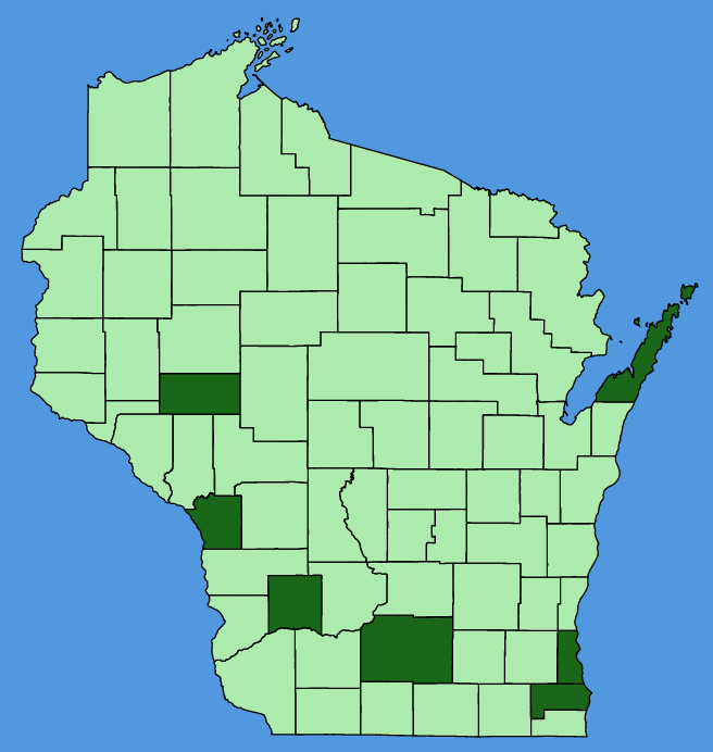 map-wis-Sisymbrium-loeselii.JPG