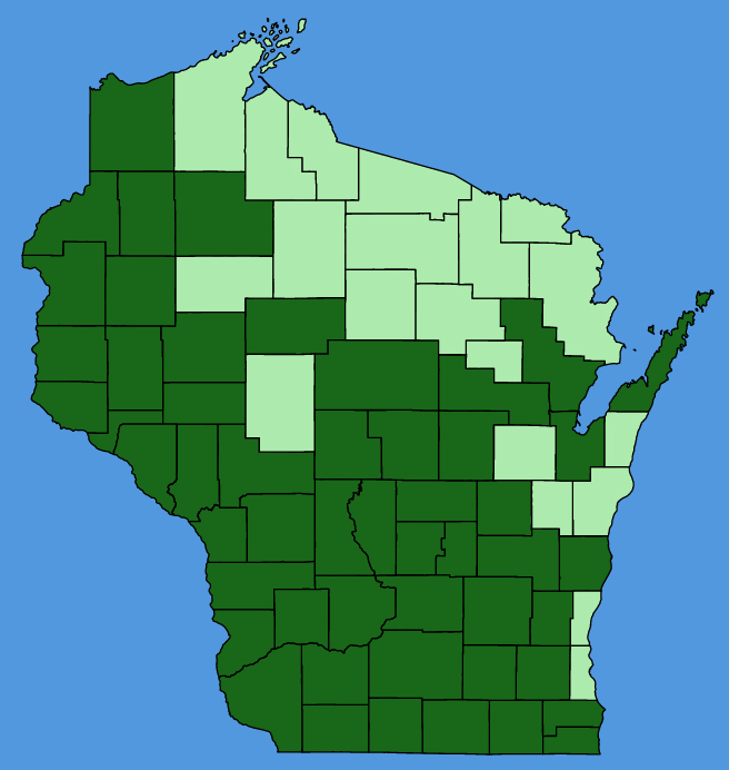 map-wis-Sisyrinchium-campestre.JPG