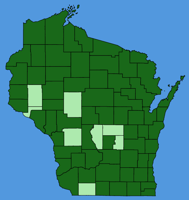 map-wis-Sium-suave.JPG