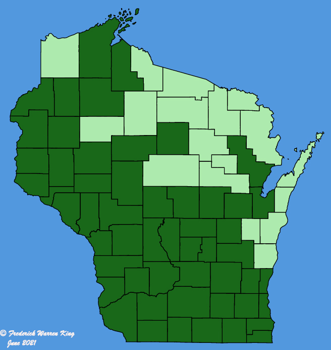 map-wis-Smilax-lasioneura.JPG