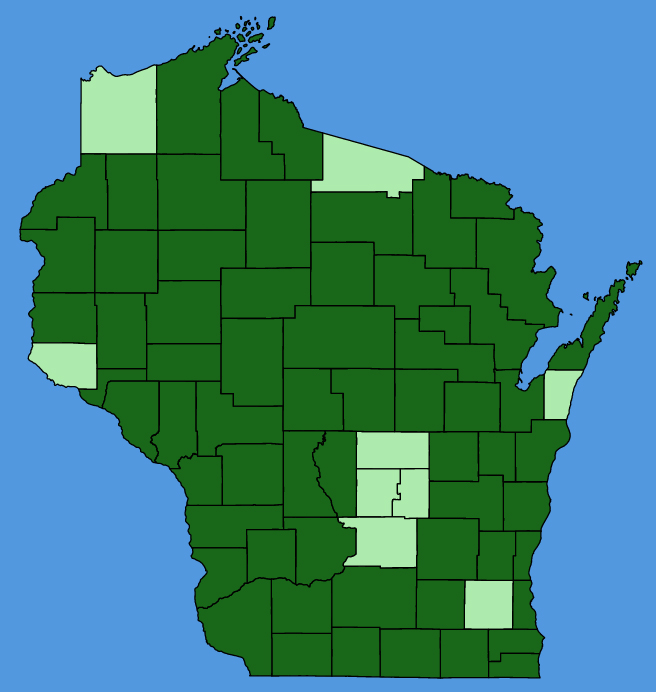 map-wis-Smilax-tamnoides.JPG