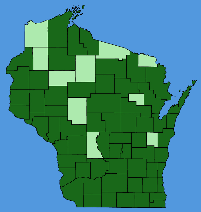 map-wis-Solanum-americanum.JPG