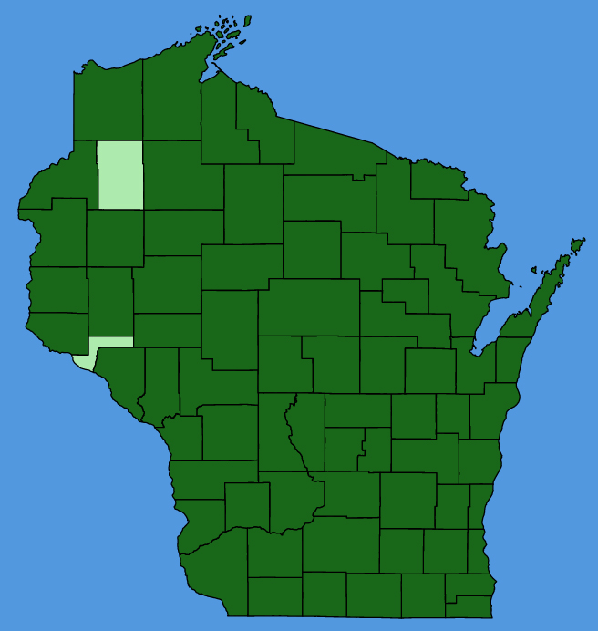 map-wis-Solanum-dulcamara.JPG
