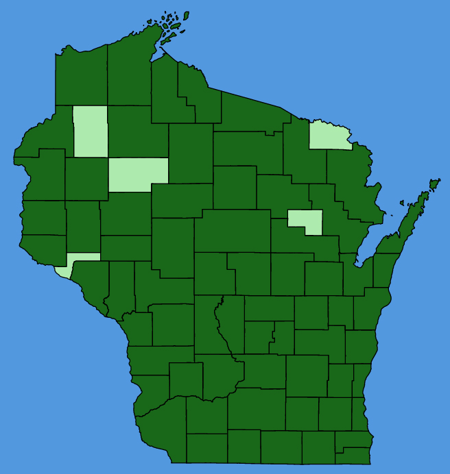 map-wis-Solidago-altissima.JPG