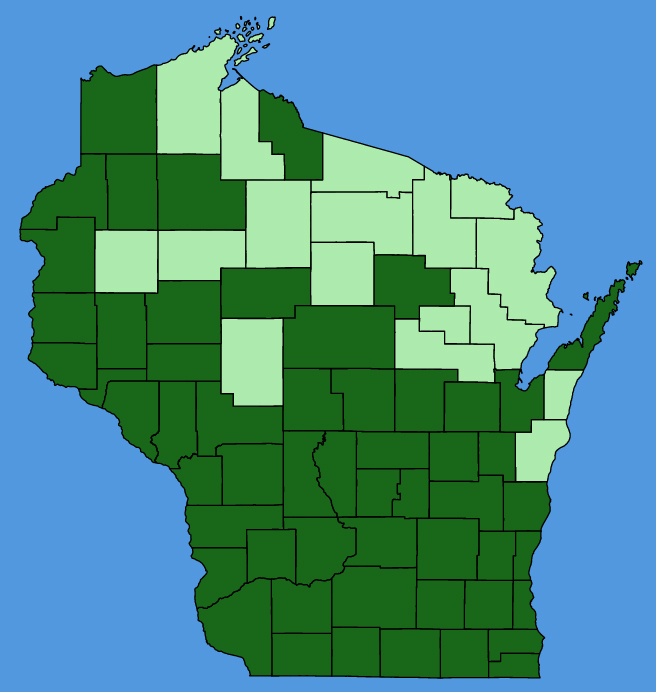 map-wis-Solidago-rigida.JPG