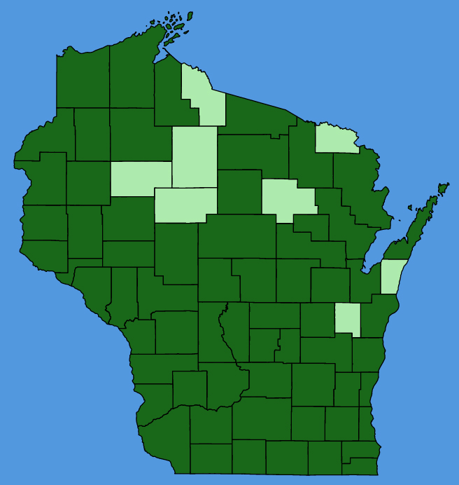 map-wis-Solidago-speciosa.JPG