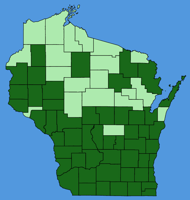 map-wis-Solidago-ulmifolia.JPG