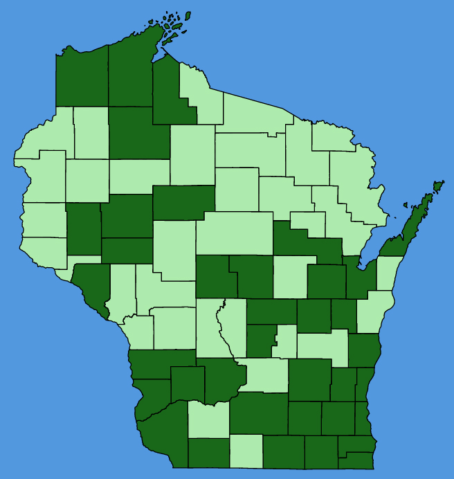 map-wis-Sonchus-oleraceus.JPG