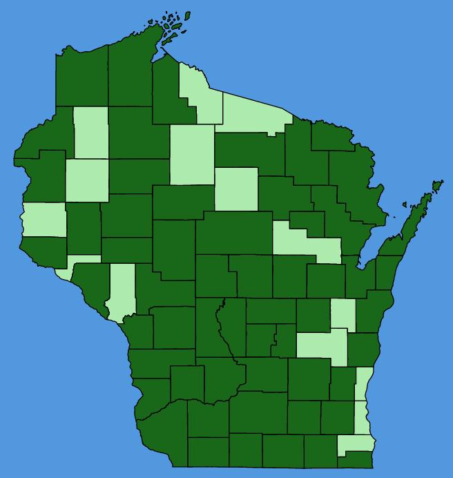map-wis-Stellaria-aquatica.JPG