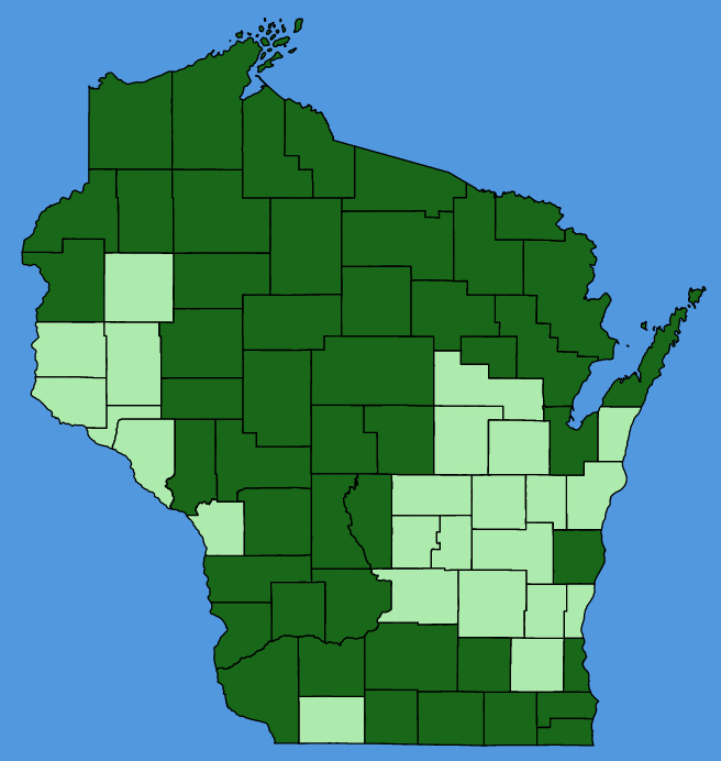 map-wis-Stellaria-graminea.JPG