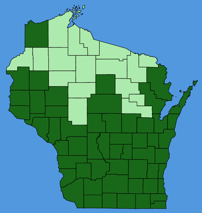 map-wis-Symphyotrichum-ericoides.JPG