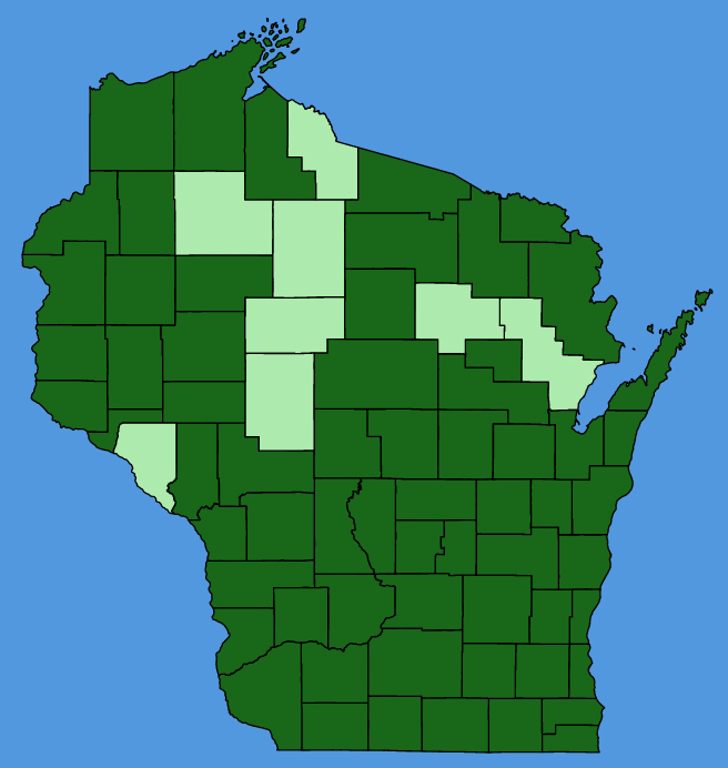 map-wis-Symphyotrichum-laeve.JPG
