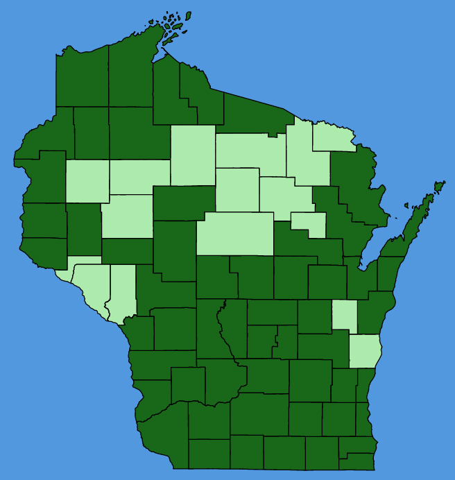 map-wis-Symphyotrichum-pilosum.JPG