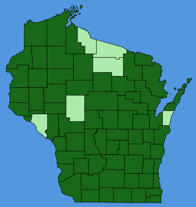 map-wis-Symphyotrichum-urophyllum.JPG