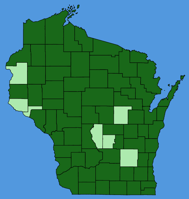 map-wis-Tanacetum-vulgare.JPG