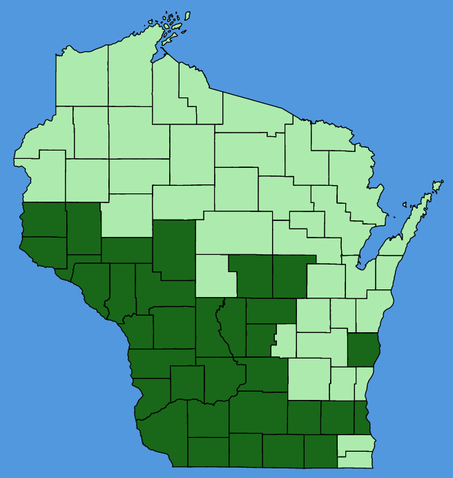 map-wis-Tephrosia-virginiana.JPG